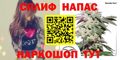 круглые Апшеронск