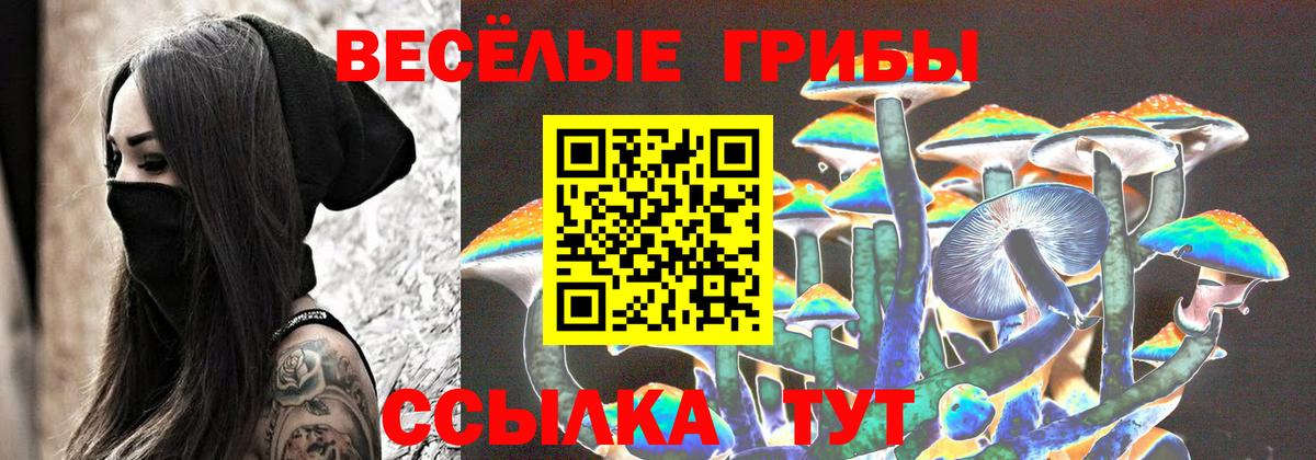 Псилоцибиновые грибы Psilocybe Балаково